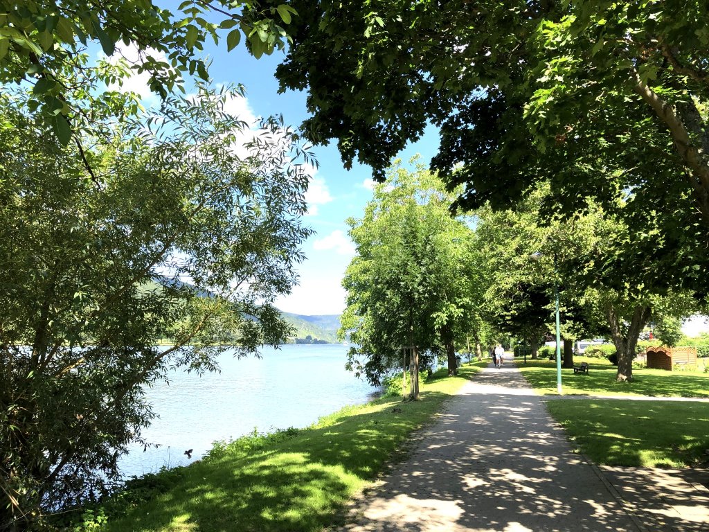 Moselradweg bei Bullay - Urlaub der Mosel in Ferienwohnungen Traben-Trarbach, Weihertorplatz 8, 56841 Traben-Trarbach